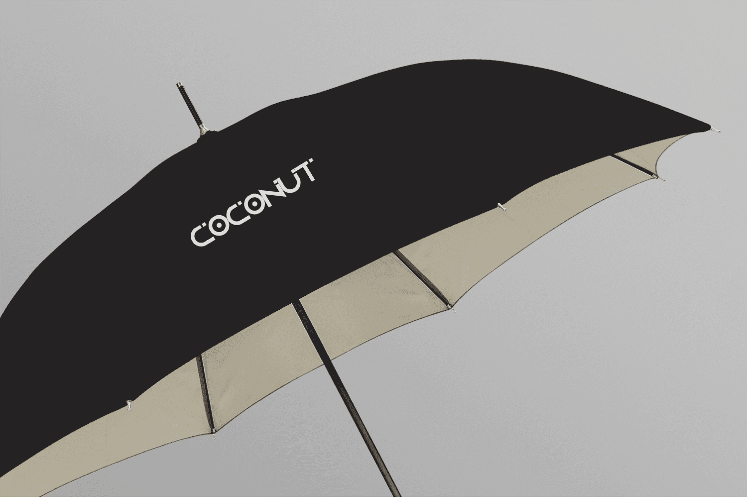 Coconut Umbrella